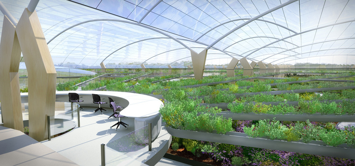 Polydome_interior2.jpg